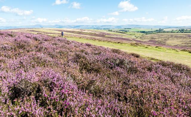 10 Westmorland Fells W_export_w950