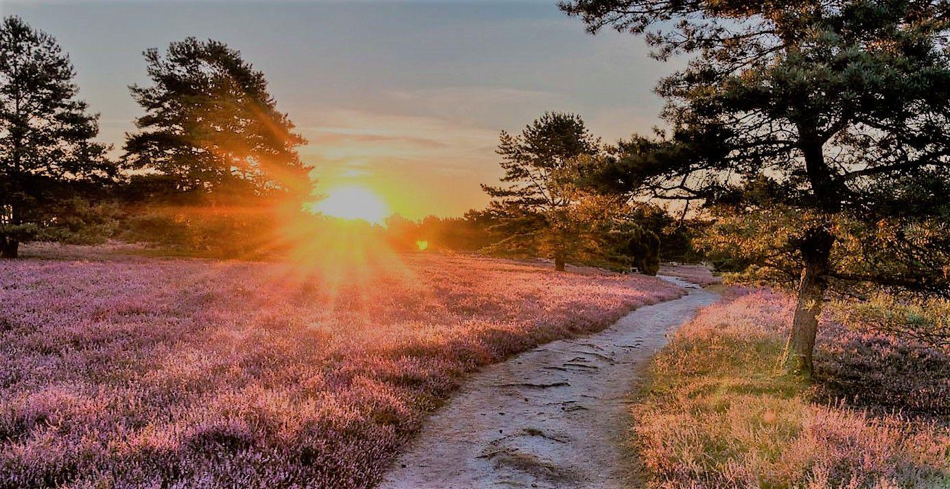 Weekendje groespreis Limburg