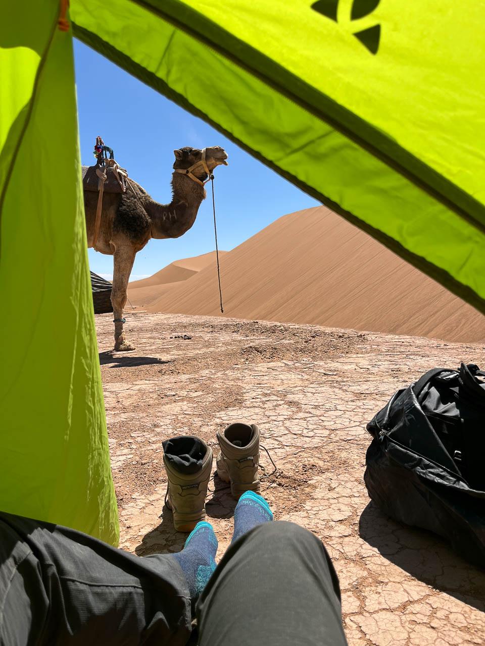 Luna De Beuf Luna De Beuf (3) Luna De Beuf