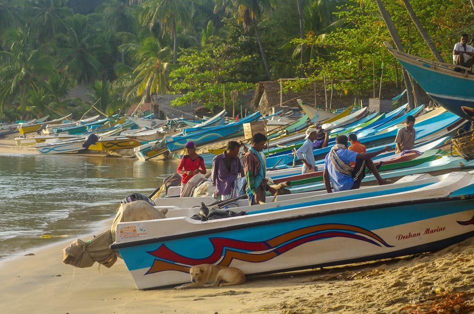 Arugam Bay IMGP0941_LR_export_w950