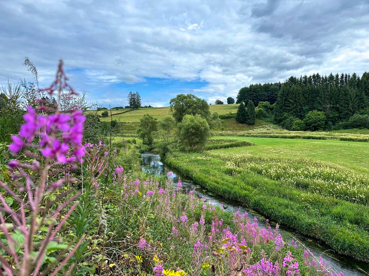 BE5VTA Venntrilogienancyjans17 Nancy Jans