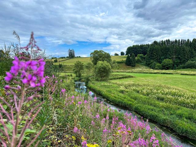 BE5VTA Venntrilogienancyjans17 Nancy Jans