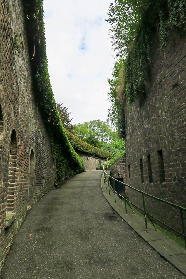 foto Keulen_files_IMG_5995_Dirk Smets_w950