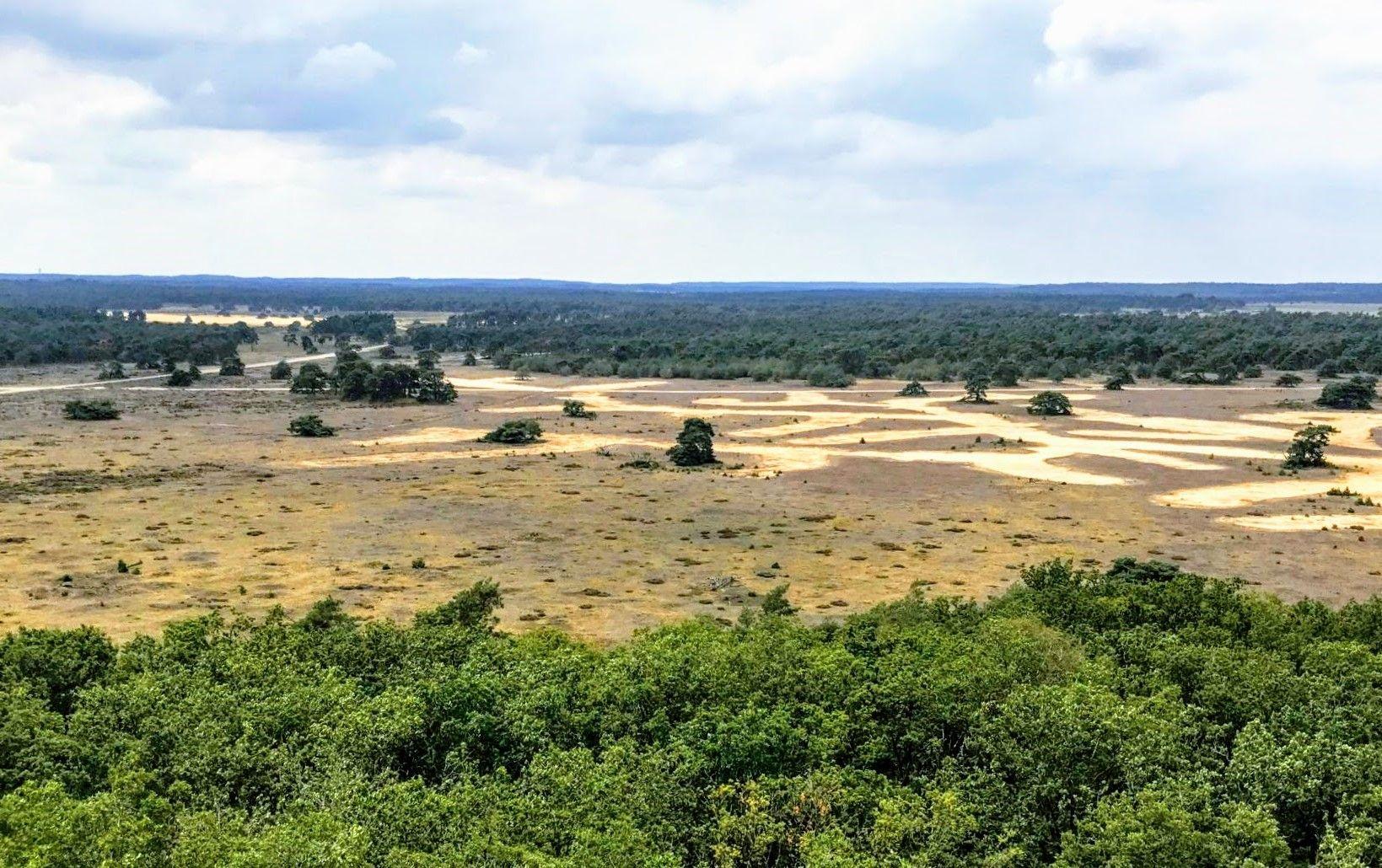 Wandelweekend Veluwe  zandvlakte