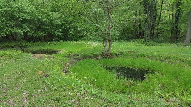 20190508-Bomputten-Holsbeek_export