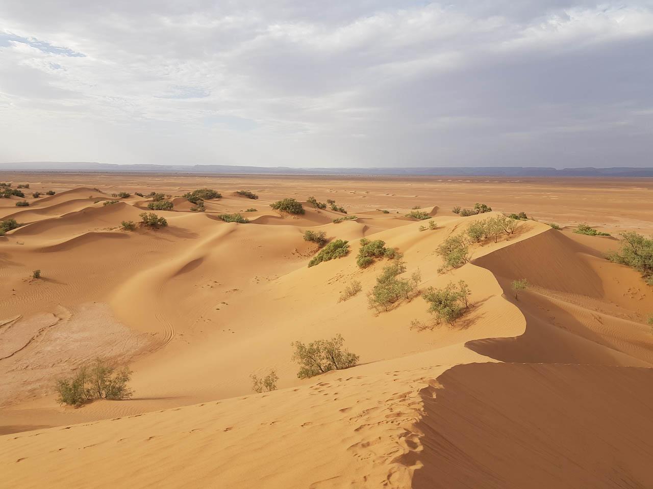 Selectie 20231030 163606 Charlotte Stevens