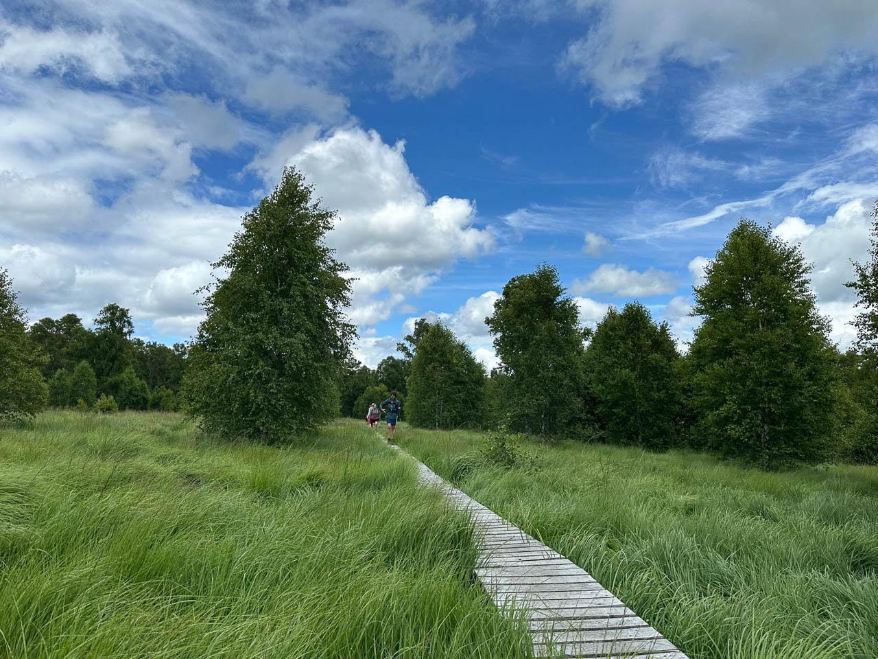 BE5VTA Venntrilogienancyjans3 Nancy Jans