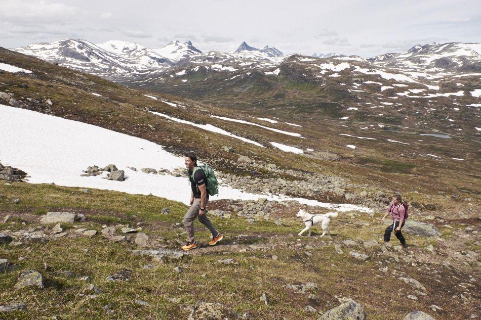 201906-Jotunheimen-Utsikten-098_export