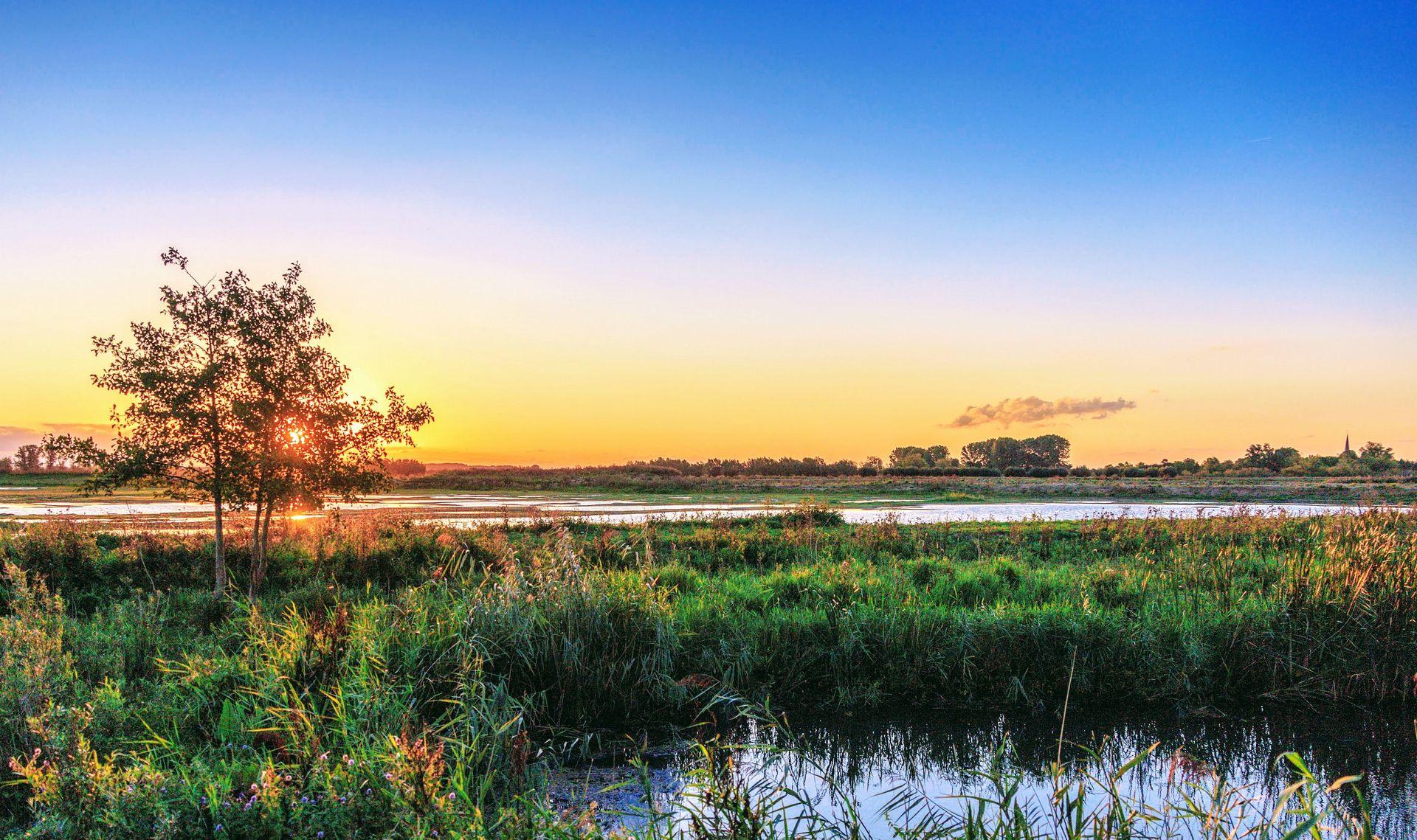 wandelweek Veluwe