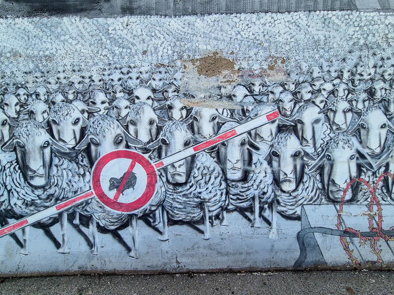 Selectie 20260117 133148 Charlotte Stevens