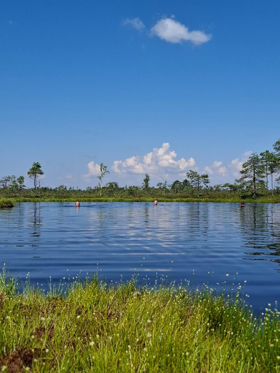 Femke Cnudde 20250725 124713 Femke Cnudde