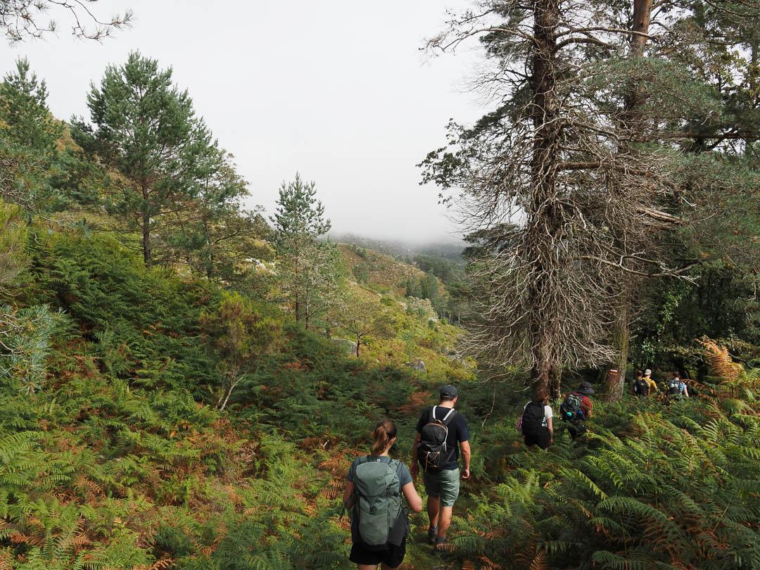 P9140489 CEDRIC ONYN 1080