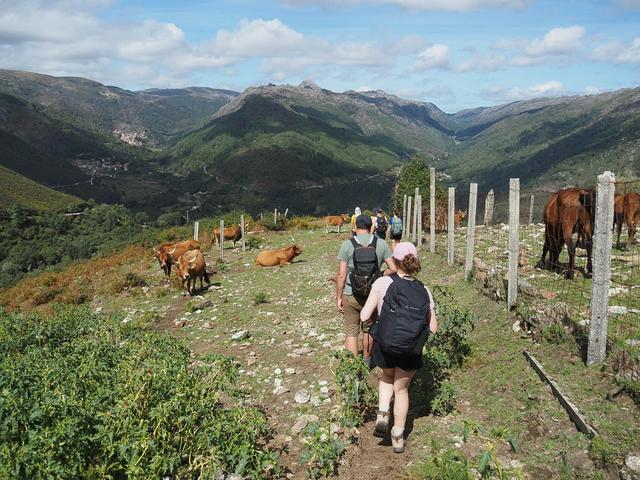 P9130290 CEDRIC ONYN 1080