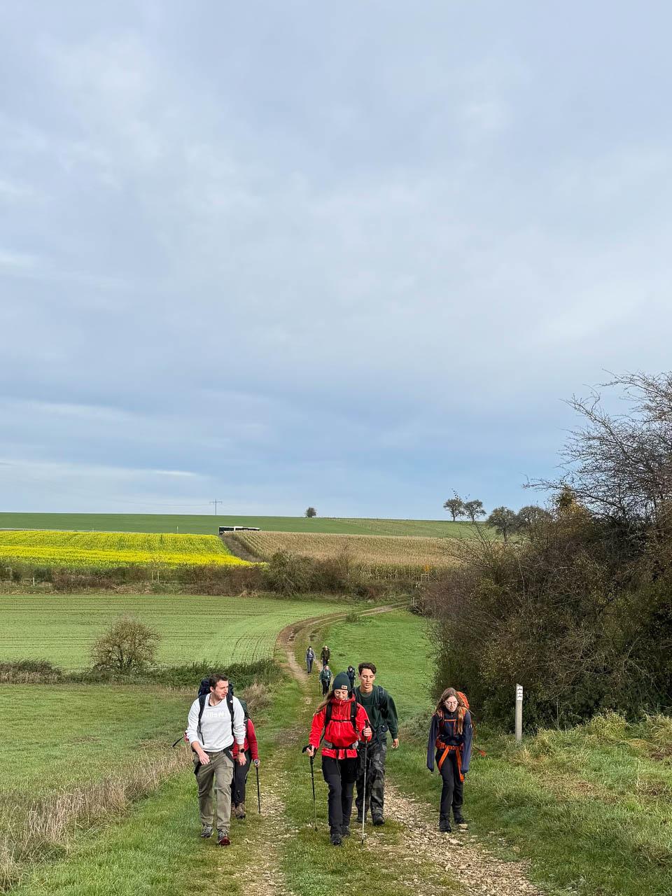 Daan Dhondt Daan Dhondt (10) Daan Dhondt