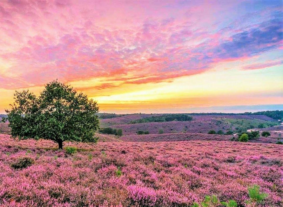 wandelreis Nederland