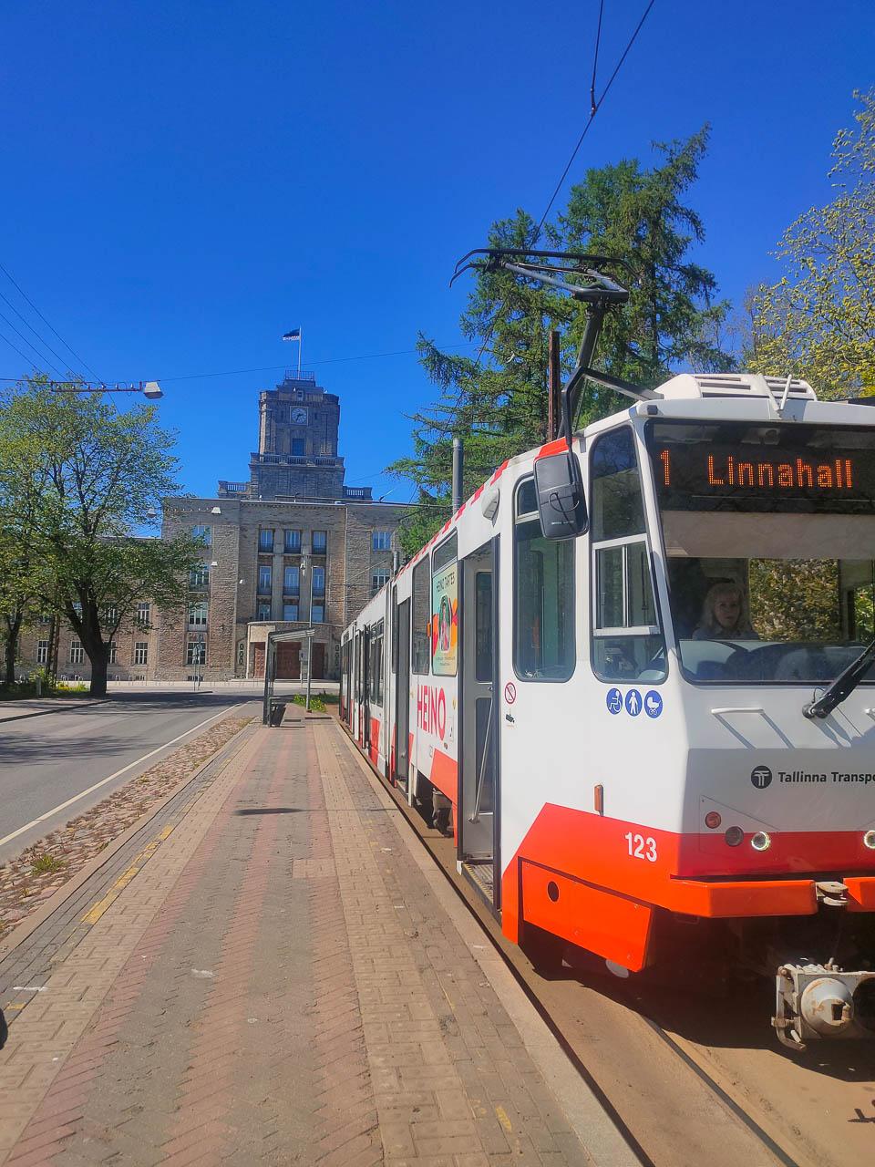 Femke Cnudde IMG20240521143404 Femke Cnudde