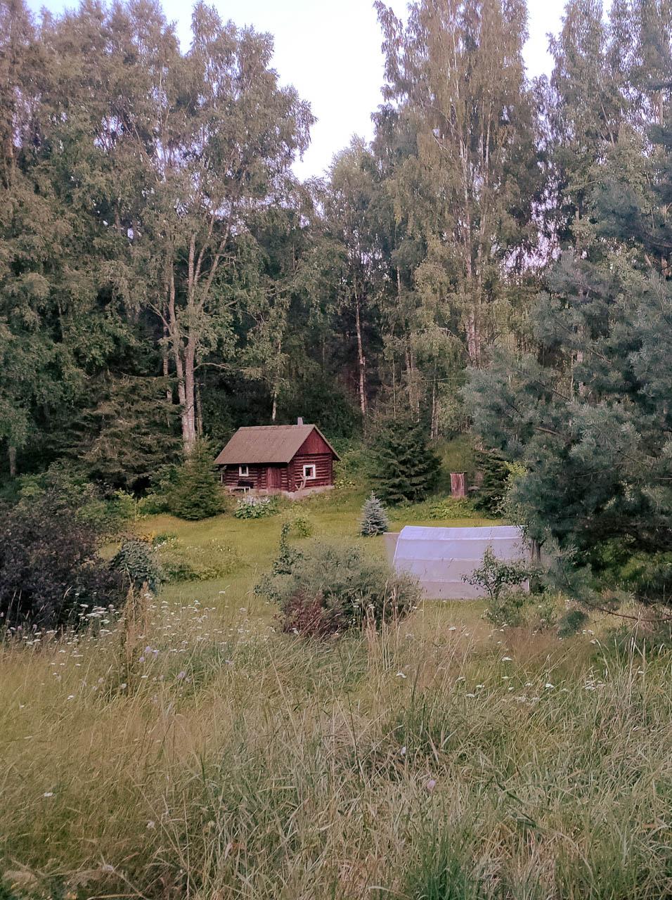 Femke Cnudde IMG20220721220940 1 Femke Cnudde