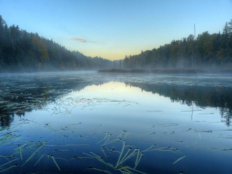 041 Lac Castor