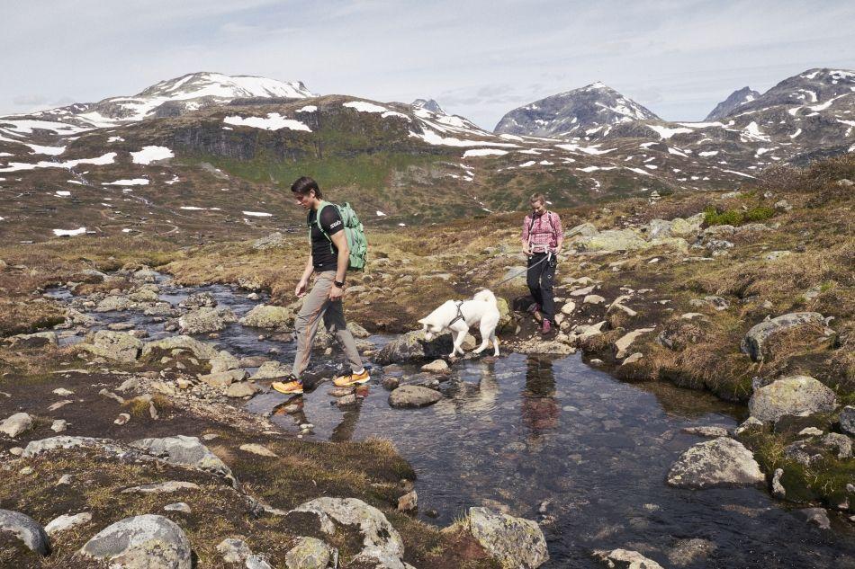 201906-Jotunheimen-Utsikten-075_export