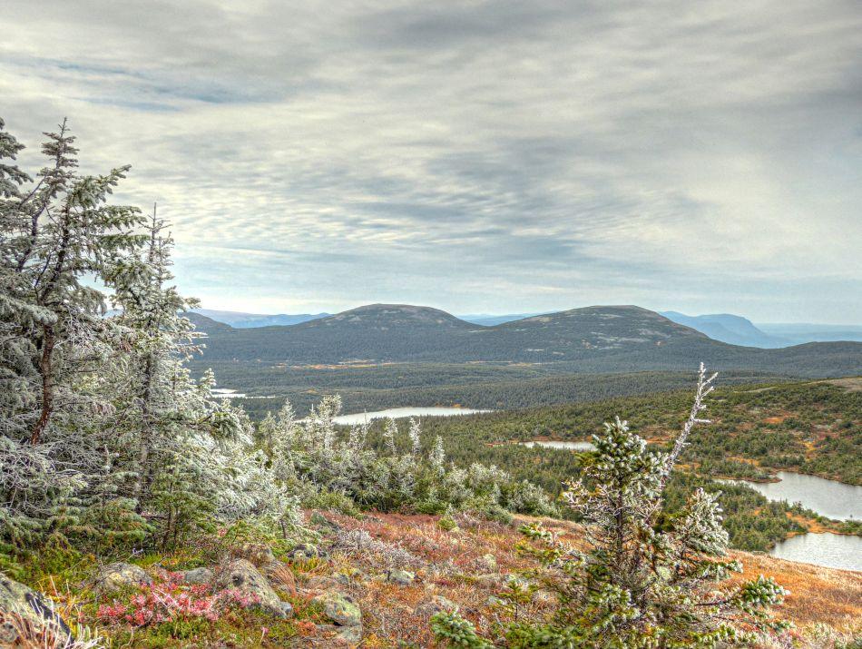 079 Gaspesie