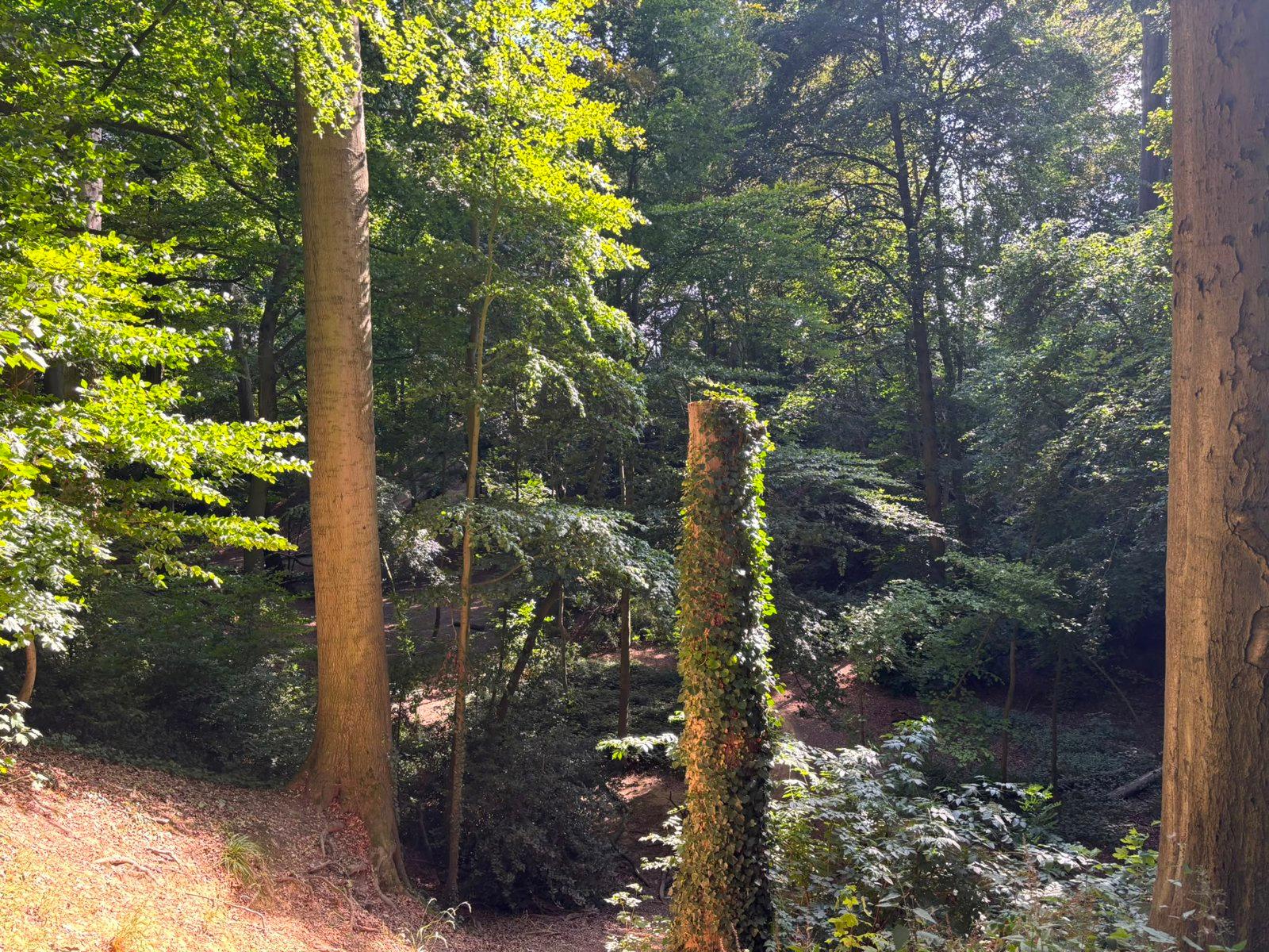 Sint Alenapark2