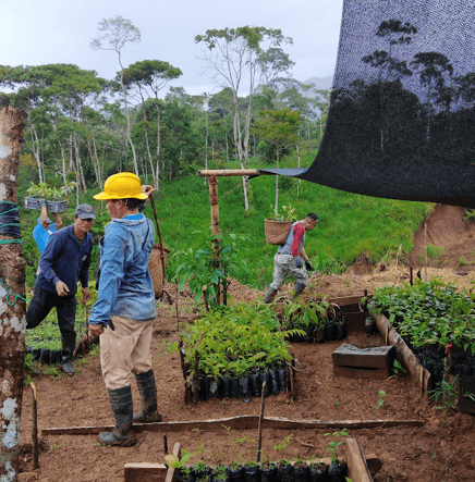 Fotos Yakum Ecuador (1)