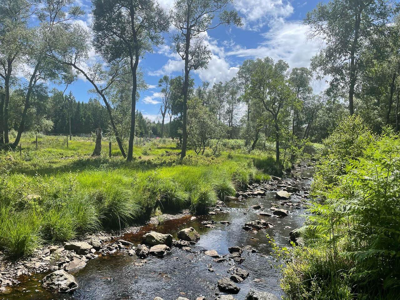 BE5VTA Venntrilogienancyjans10 Nancy Jans