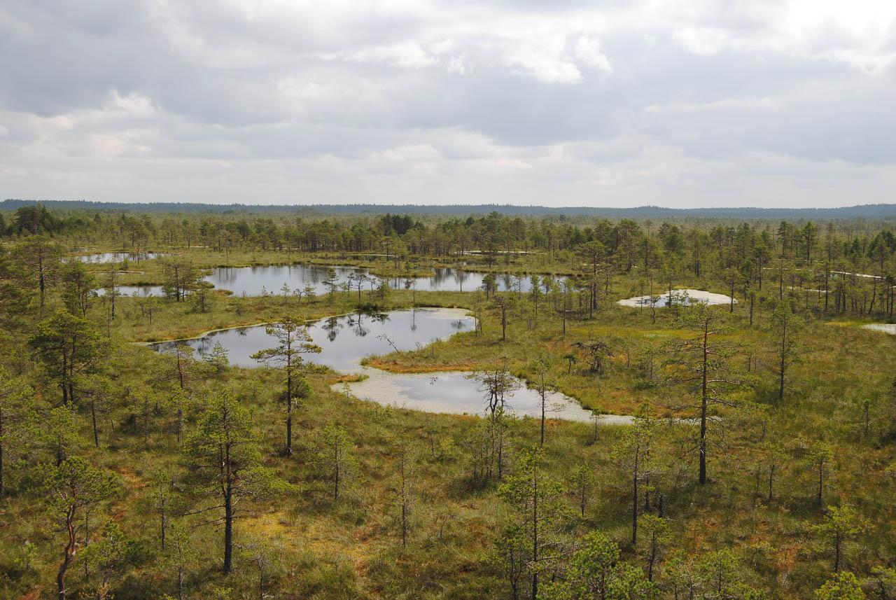 Femke Cnudde DSC 0414 Femke Cnudde