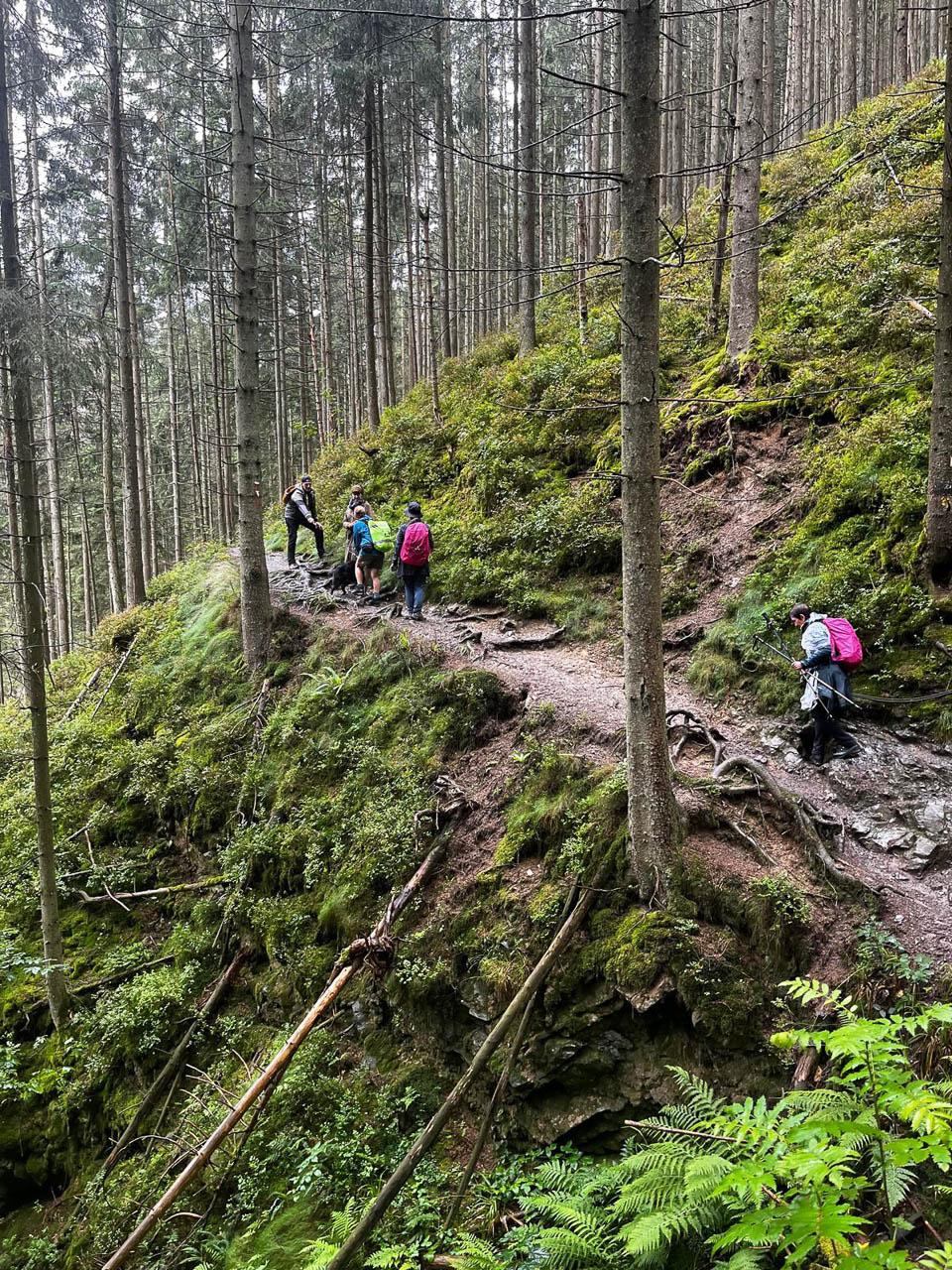 BE5VTA Venntrilogienancyjans11 Nancy Jans