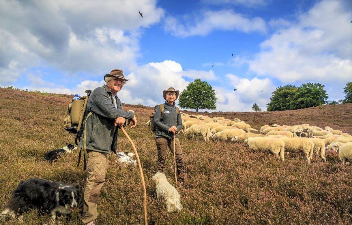 Wandelweek Anders Reizen Veluwe