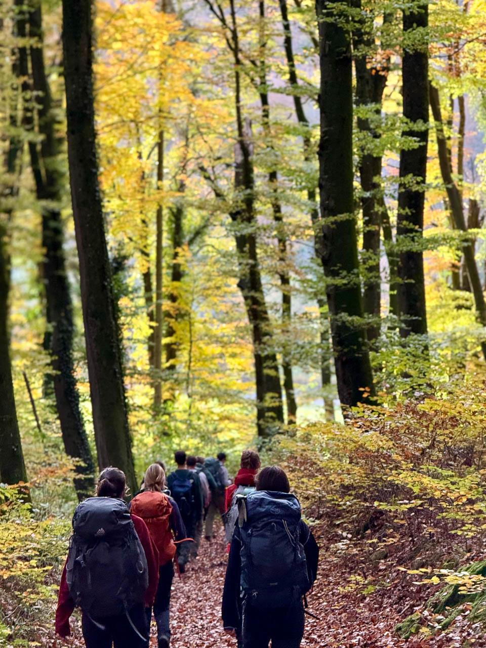 Daan Dhondt Daan Dhondt (9) Daan Dhondt