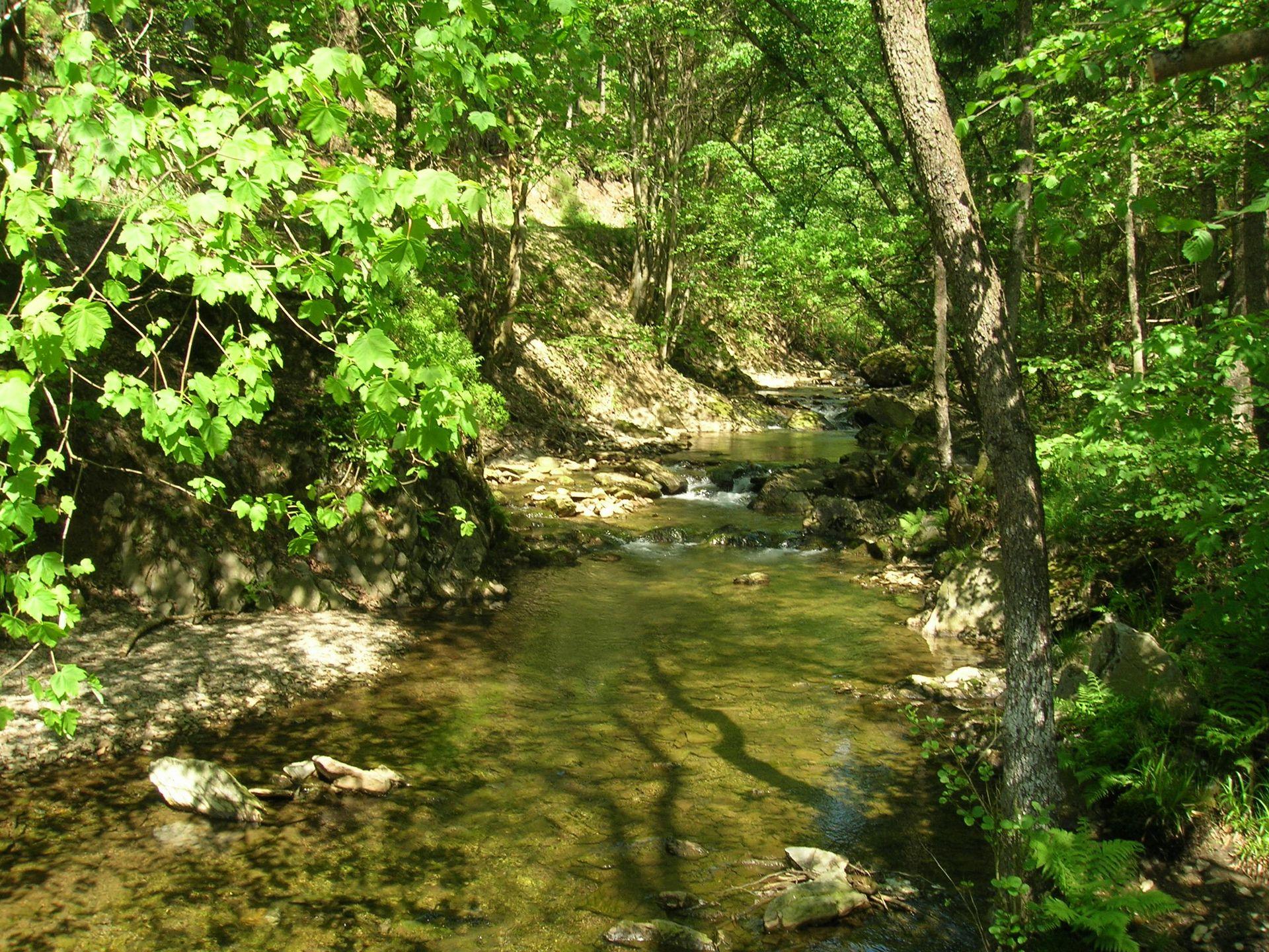 Ardennen 3