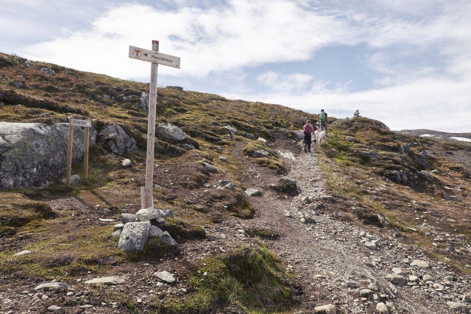 201906-Jotunheimen-Utsikten-058_export