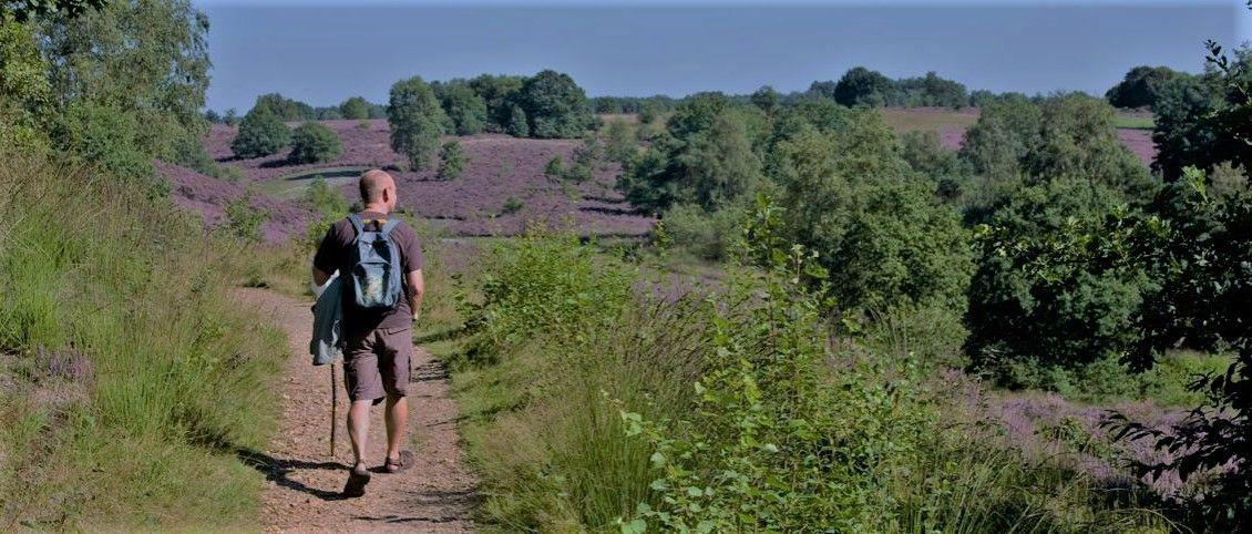 Wandelweekend Limburg - Connecterra wandelen