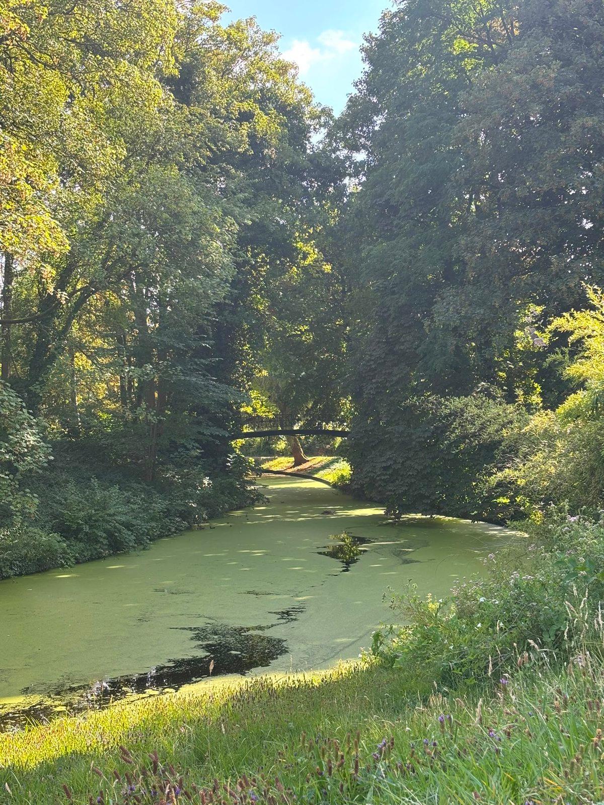 Gemeentepark2