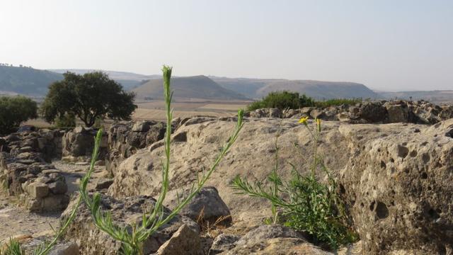 Barumini-Nuraghe-IMG_3797_export