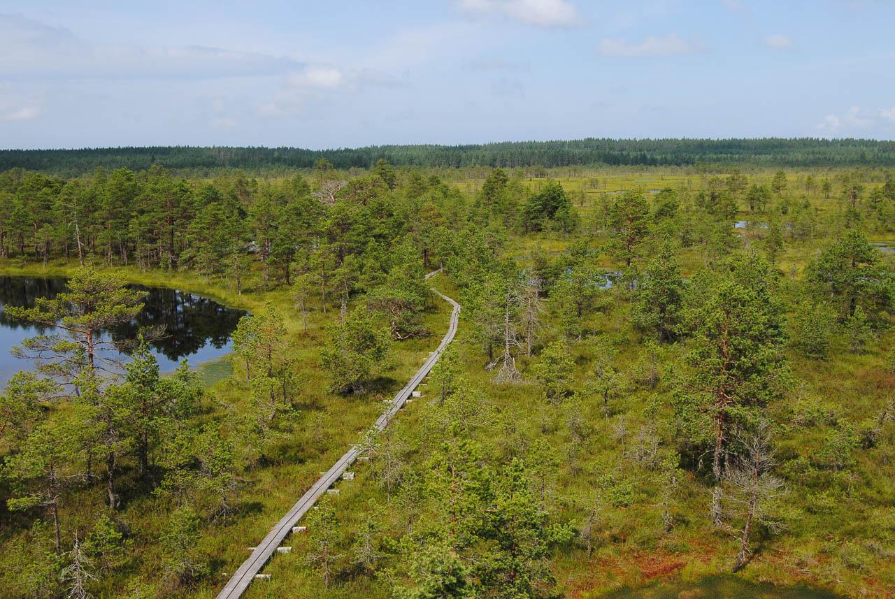 Femke Cnudde DSC 0412 Femke Cnudde