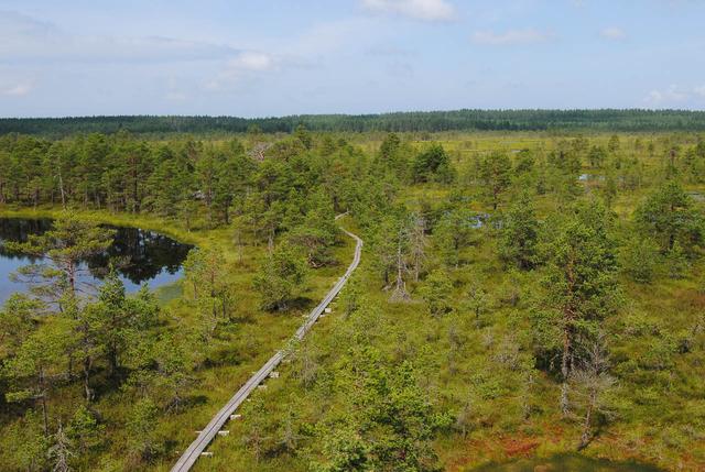 Femke Cnudde DSC 0412 Femke Cnudde