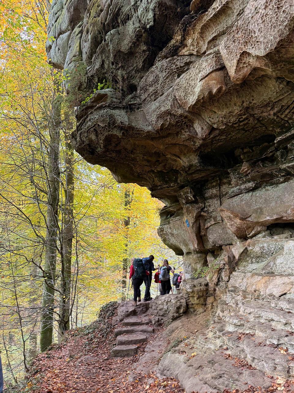 Daan Dhondt Daan Dhondt (14) Daan Dhondt