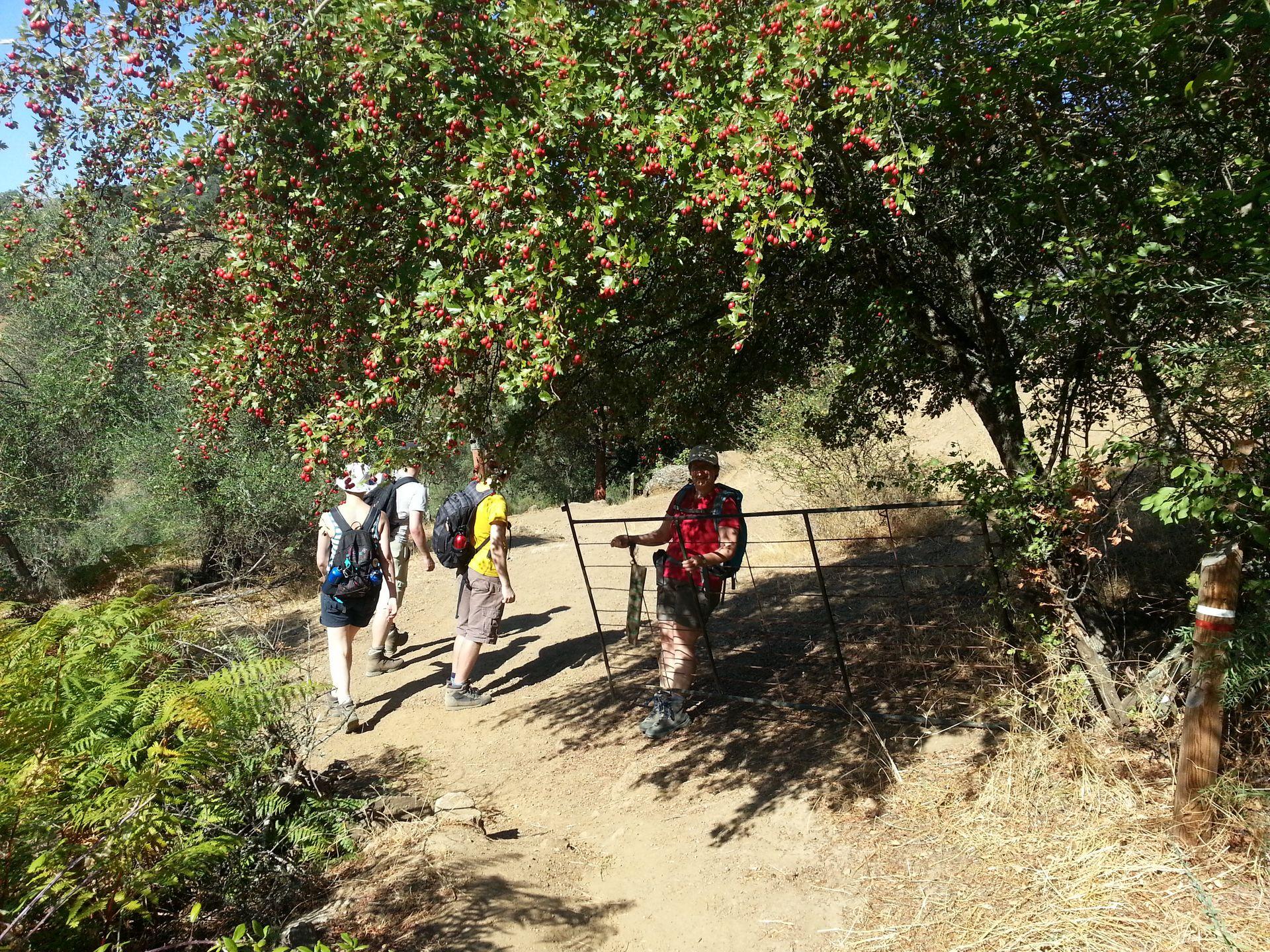 Bootz_jongerenreizen_Spanje_2014_27