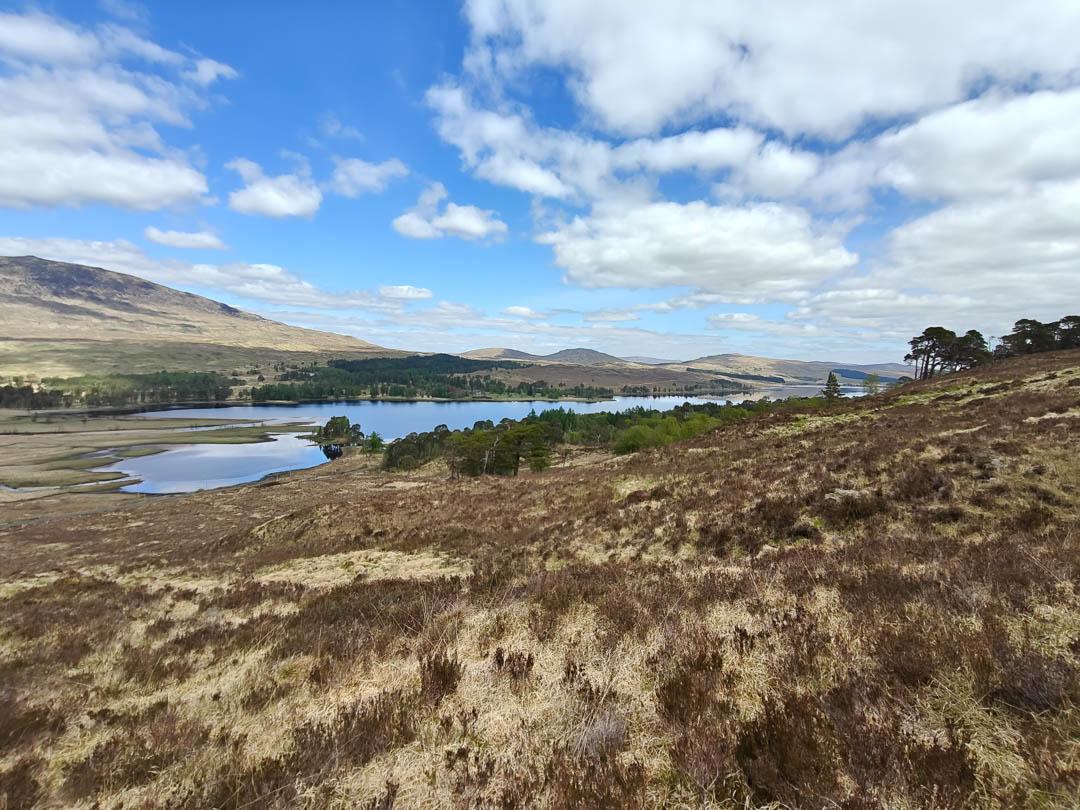 IMG20250507120425 1080