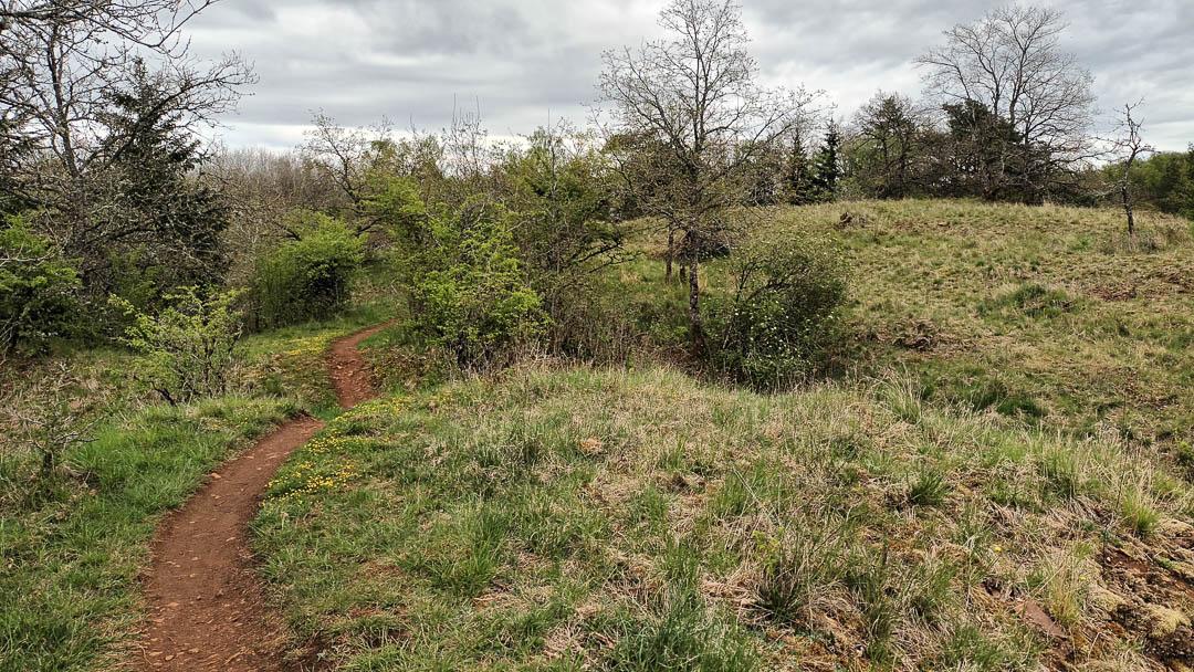 20250420 140843 1080