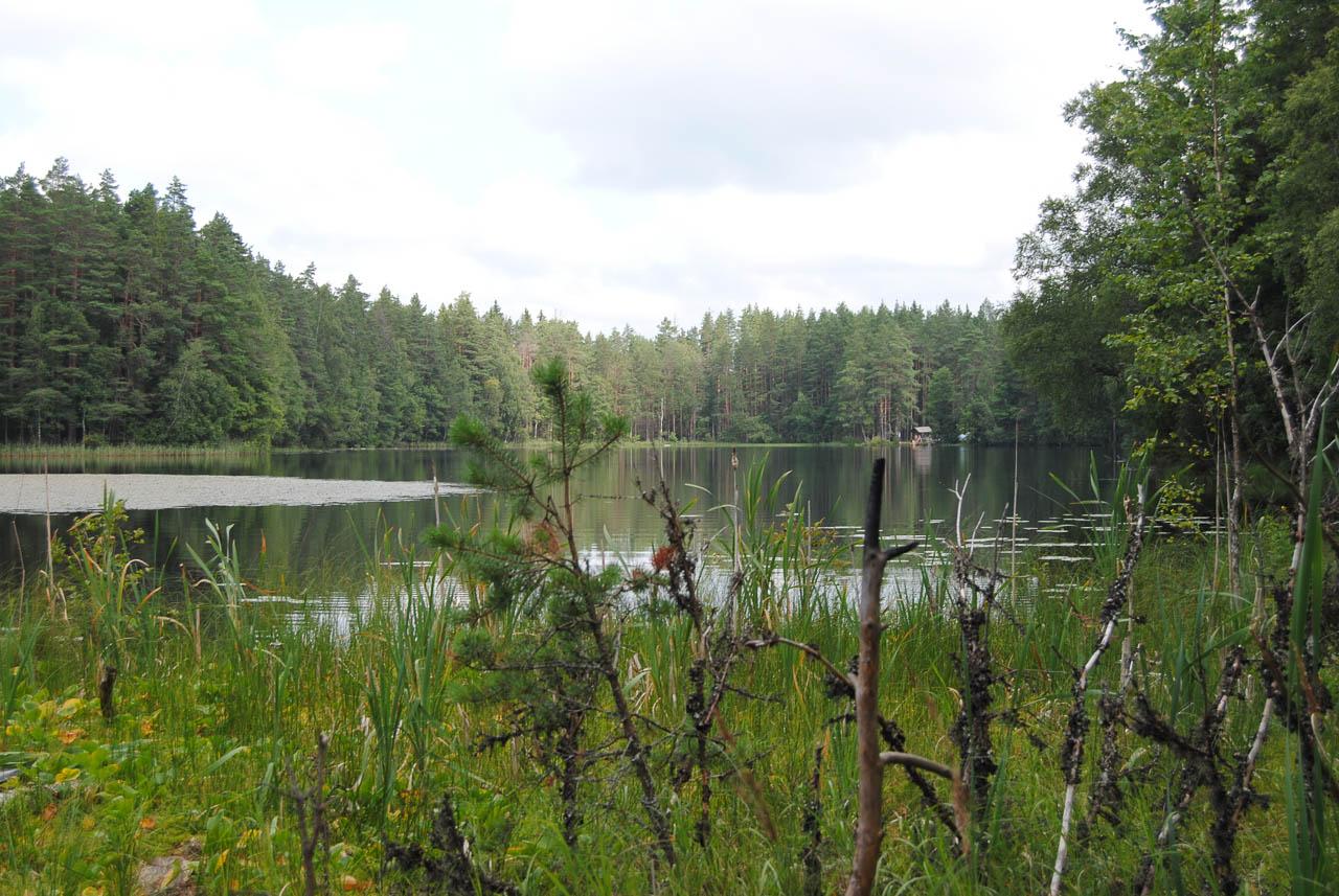 Femke Cnudde DSC 0398 Femke Cnudde