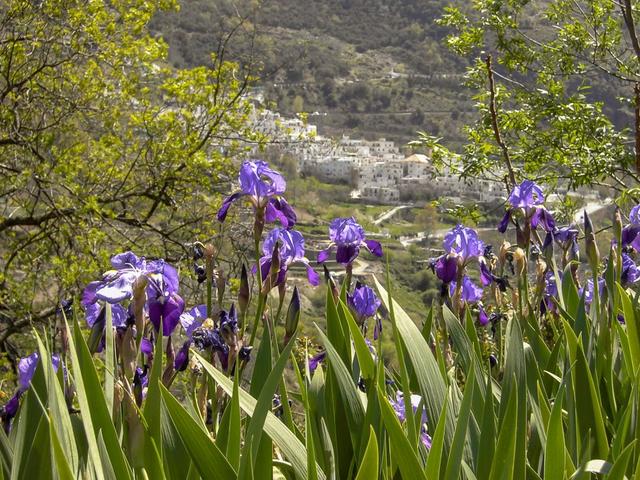 Alpujarra Kris Vanloo PICT1266_export_w950