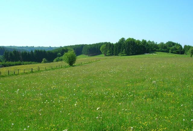 Ardennen 1