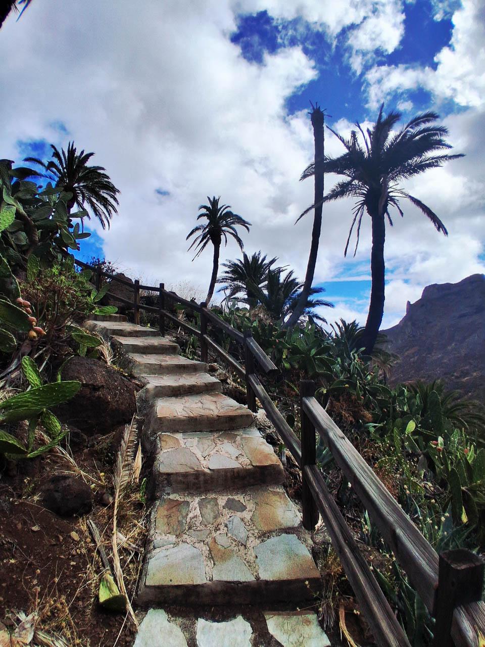 Franne Ricou Franne Ricou (3) Franne Ricou