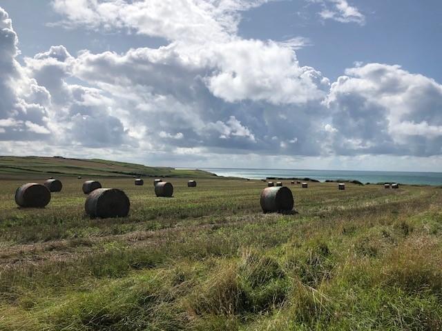 Wandeling Naar Cap Gris Nez