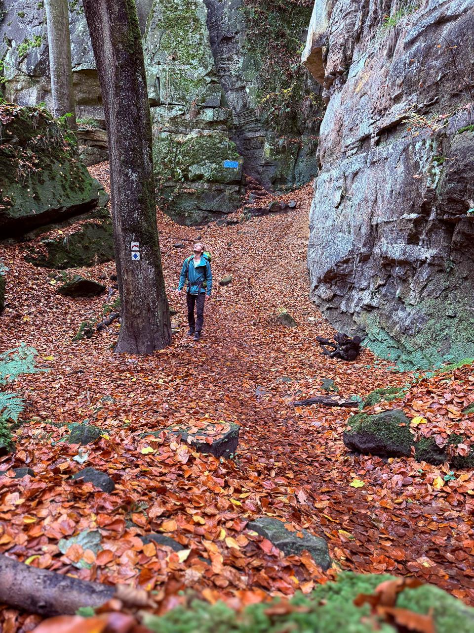 Daan Dhondt Daan Dhondt (13) Daan Dhondt