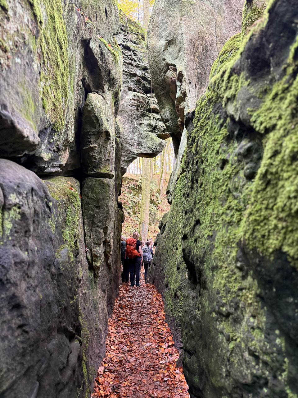 Daan Dhondt Daan Dhondt (1) Daan Dhondt