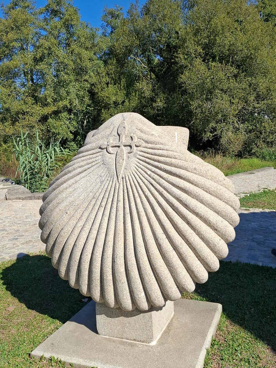 Overschot 20251014 120107 Els Vanhaesebroeck